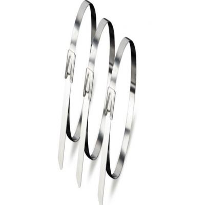 POWERMASTER PM-26361 304 PASLANMAZ ÇELİK KABLO BAĞI 4.6X500MM 100LÜK PAKET